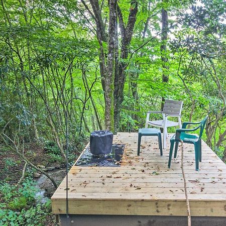 Peaceful Spruce Pine Cabin On 8 Acres With 2 Decks! Zewnętrze zdjęcie